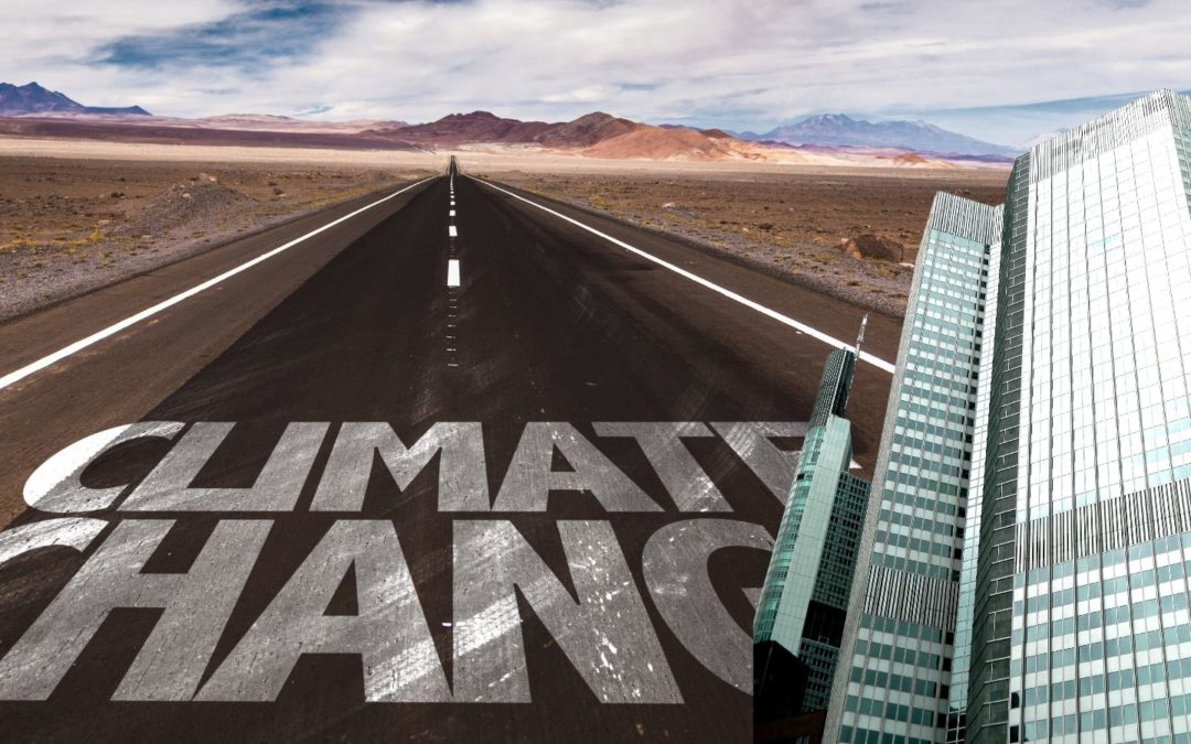 A race against time: The implications of the ECB climate action plan