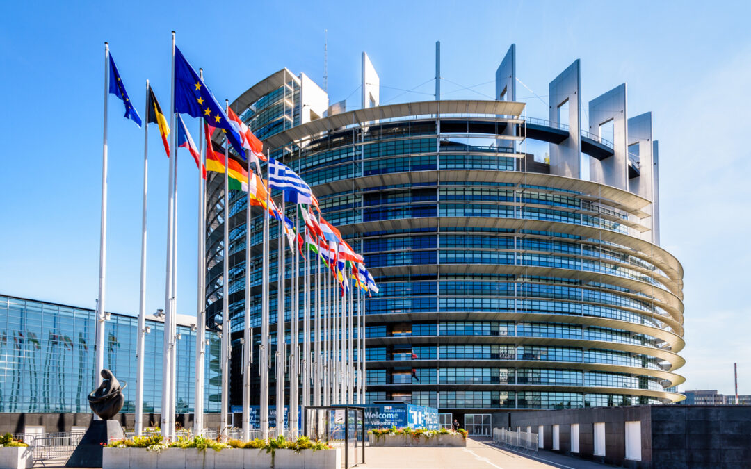 A missed opportunity: EU Parliament’s resolution falls short on green initiatives